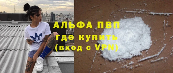 прущие грибы Балабаново
