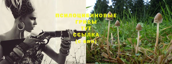 марихуана Баксан