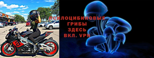 прущие грибы Балабаново