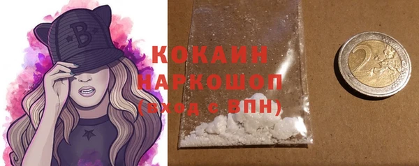 прущие грибы Балабаново