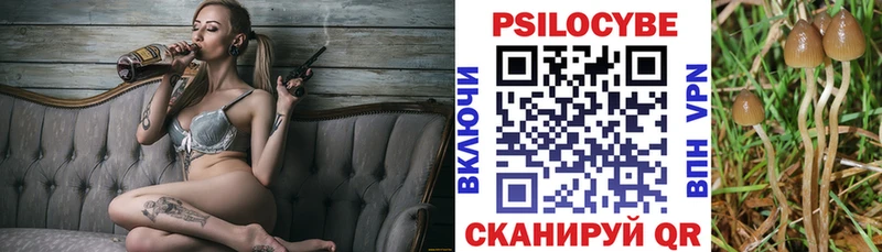 Галлюциногенные грибы мицелий  darknet формула  Заводоуковск 